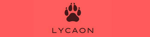 Lycaon - Yoann Joyeux - Coach professionnel de la performance et des transitions!